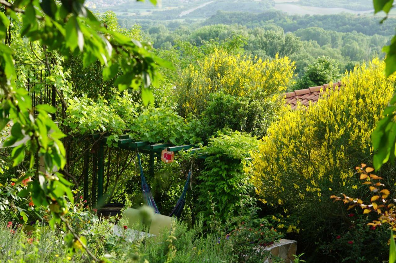 Villa Le Balcon à Dallet Extérieur photo